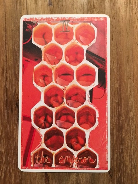 Image: emperor card, depicting a honeycomb with larvae inside.